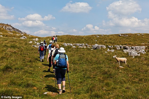The report suggested the lack of racial diversity in the countryside was part of the problem