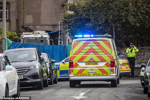 The pensioner had been standing on Brookes Street near Caroline Road in Llandudno, north Wales, when the incident occurred at around 9am