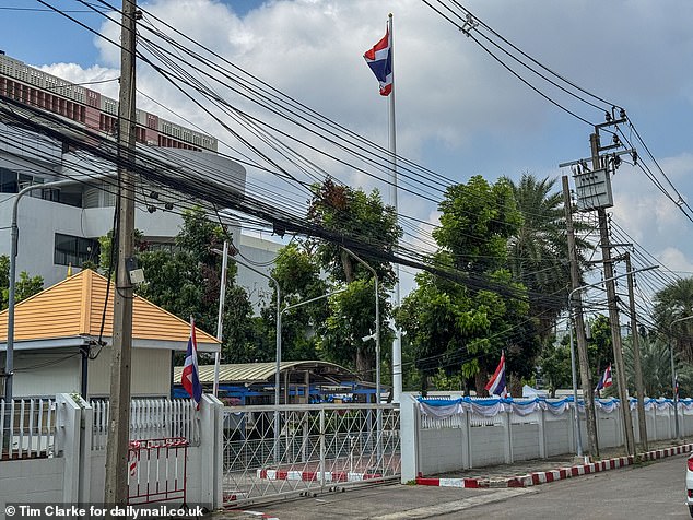 She was arrested on 3 March by Thai immigration officials at her home in Pattaya after overstaying her visa which was cancelled on 21 February. Thai officials revealed that they took action against her after a local anti-child abuse organisation raised concerns about Cairo's welfare
