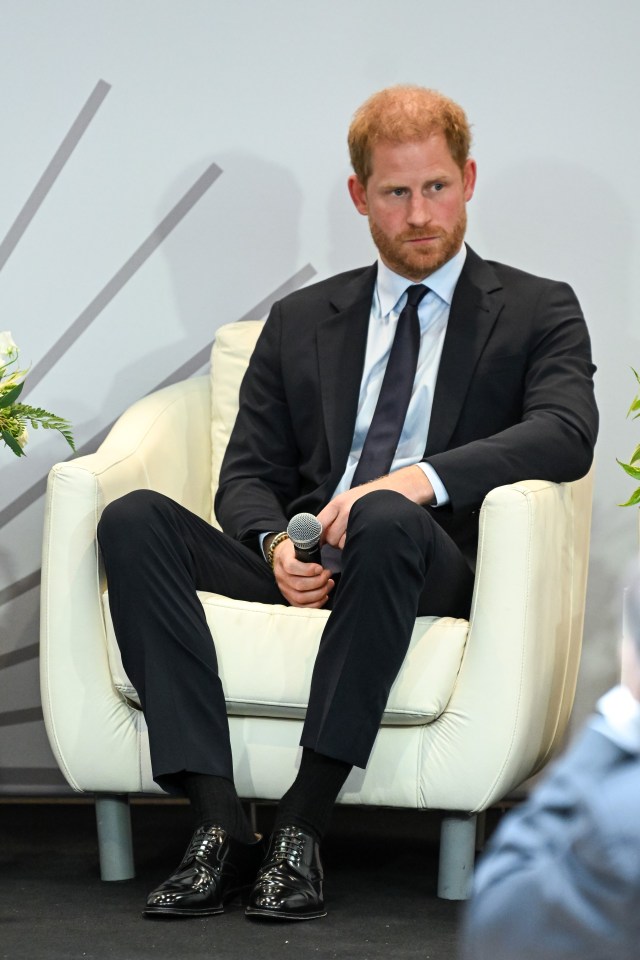 Prince Harry speaking at a conference.