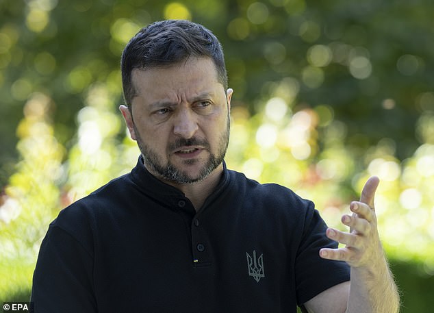 Zelensky said Putin was avoiding a one-on-one meeting with him