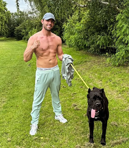 Man walking his Cane Corso.