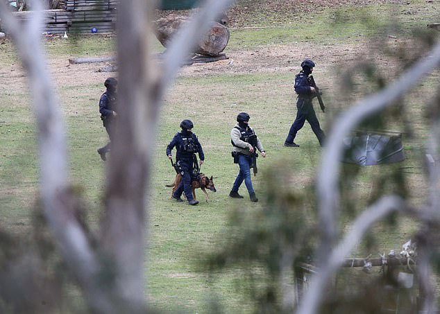 02 SEPT 2025 SYDNEY NSWWWW.MATRIXNEWS.COM.AUCREDIT: MATRIXNEWS FOR DAILYMAIL AUSTRALIAASSIGNMENT:  DAY 9 IN HUNT FOR DEZI FREEMAN DAY OPs BEGINSTactical officers are seen during an operation at a Buckland property in the hunt for Dezi Freeman.