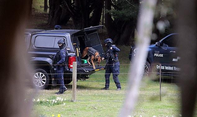 02 SEPT 2025 SYDNEY NSWWWW.MATRIXNEWS.COM.AUCREDIT: MATRIXNEWS FOR DAILYMAIL AUSTRALIAASSIGNMENT:  DAY 9 IN HUNT FOR DEZI FREEMAN DAY OPs BEGINSTactical officers are seen during an operation at a Buckland property in the hunt for Dezi Freeman.