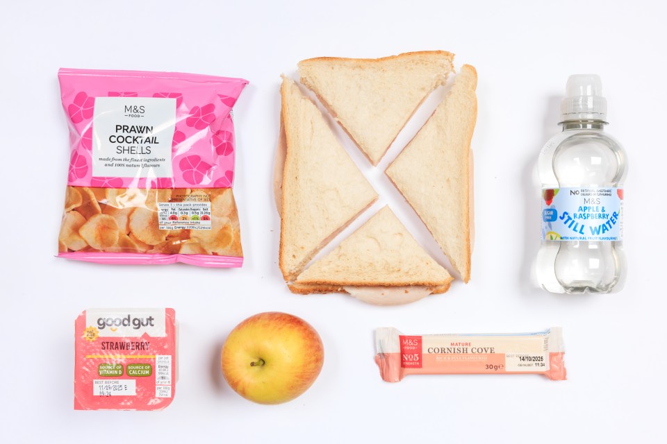Packed lunch: sandwich, apple, yogurt, chips, water, and snack bar.