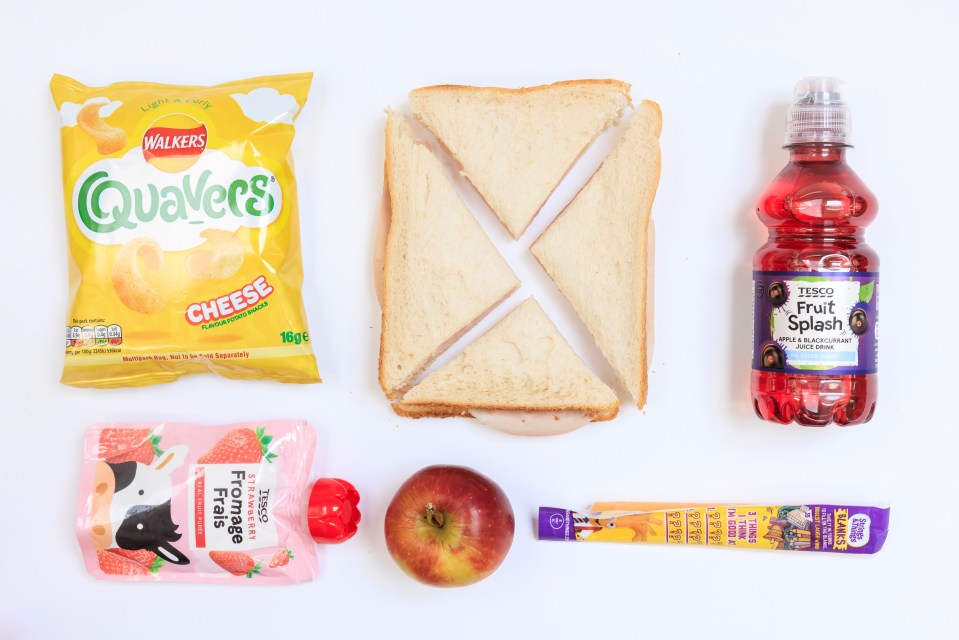Packed lunch: sandwich, apple, cheese puffs, fruit pouch, juice, and cheese snack.
