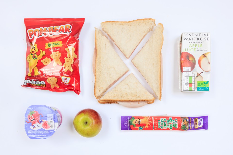 Photo of a packed lunch containing a ham sandwich, apple, yogurt, apple juice, and snacks.