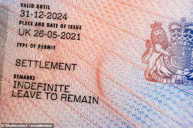 Migrants already have to use e-visas setting out their immigration system, but the new plan could make ID cards compulsory for all (pictured: physical Biometric Residence Permit card once used to prove status)
