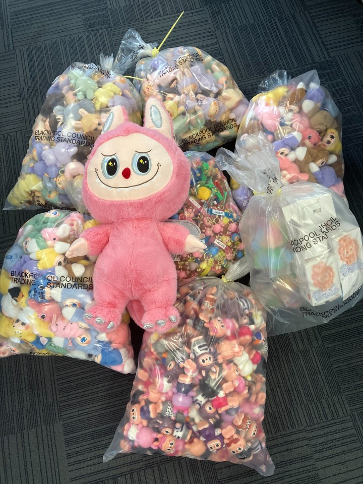 Seized counterfeit Labubu dolls and keychains.