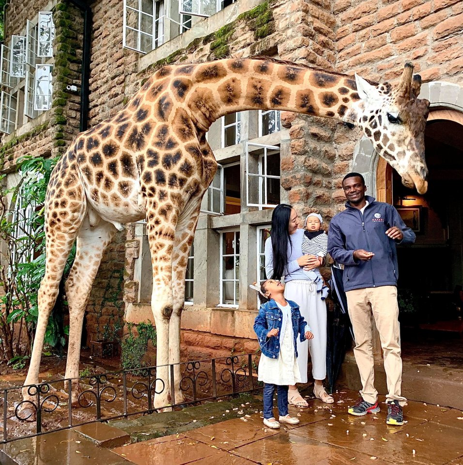 Family with giraffe.