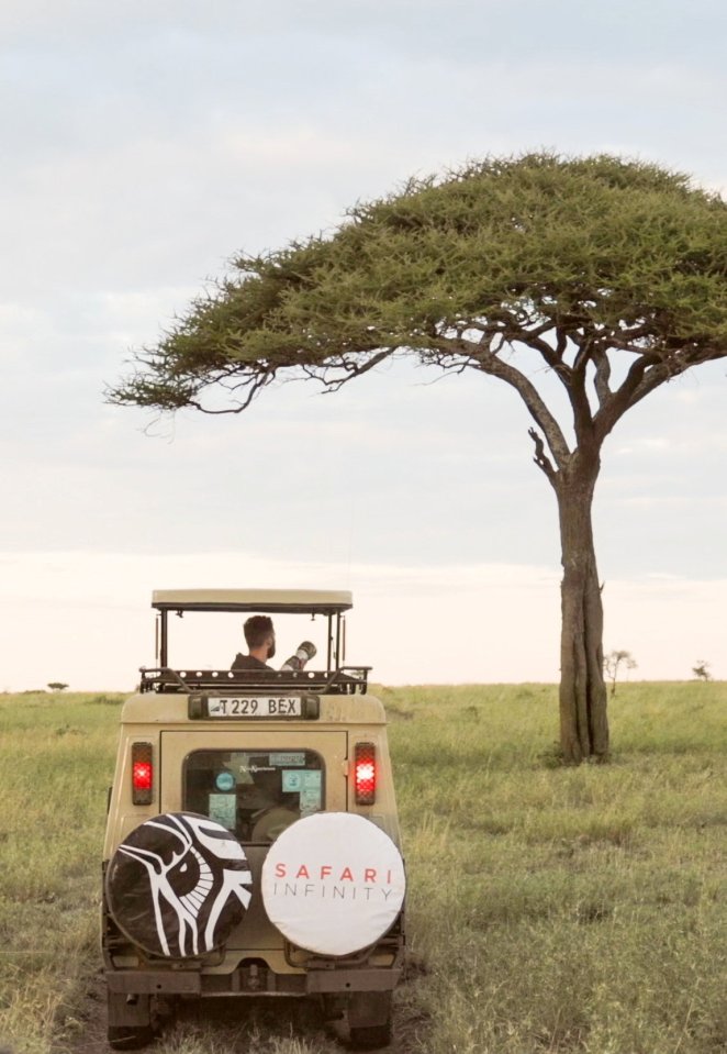 Safari vehicle in grassy field near a tree.
