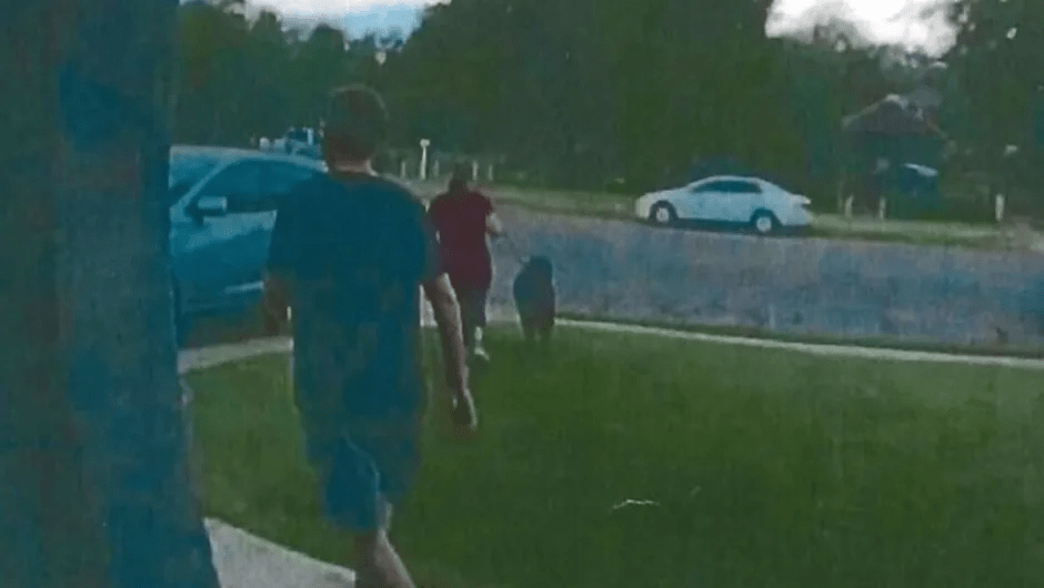 Two people walking a dog down a residential street.