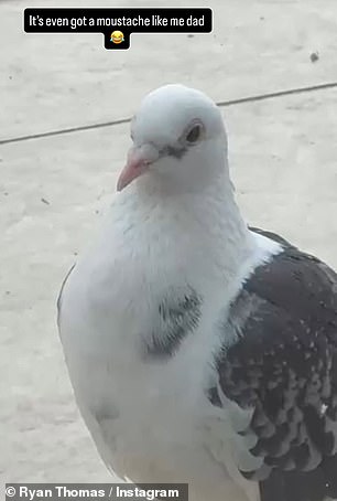 The Coronation Street star went on to share a snap of Dougie the pigeon set to the music of his late father's song Still before pointing out their similar facial features