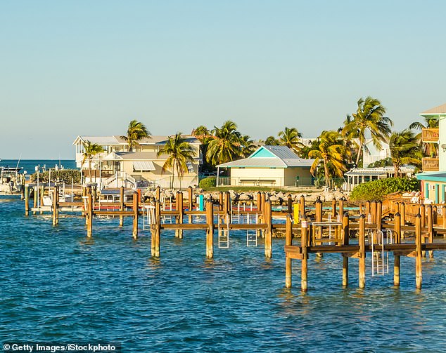 The family was swimming off the coast of Key Largo in Florida when the attack occurred (stock image)