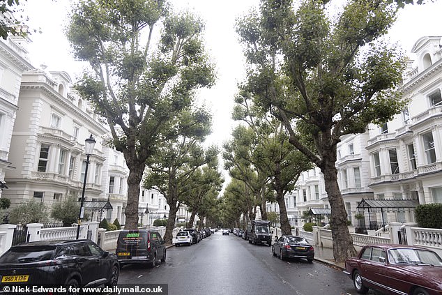 Holland Park has tree-lined streets featuring stunning period properties worth millions