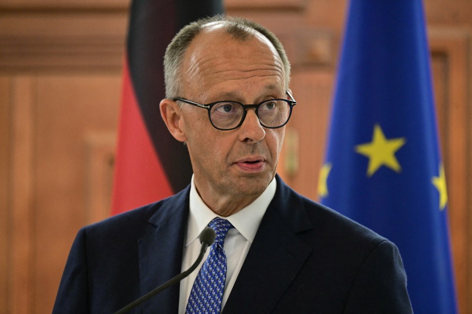 Friedrich Merz at a press conference.