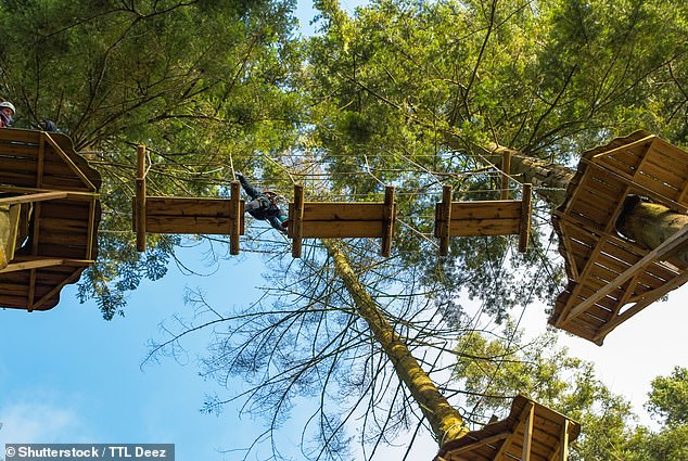 Though two separate companies, both Center Parcs UK and Center Parcs Europe offer the same sort of nature-based trip away, and at varying prices