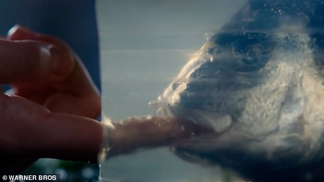 Those expecting a faithful adaptation of the beloved work may be in for a rude awakening as Emeralds' film is said to lean into the 'stylised depravity' she has become known for