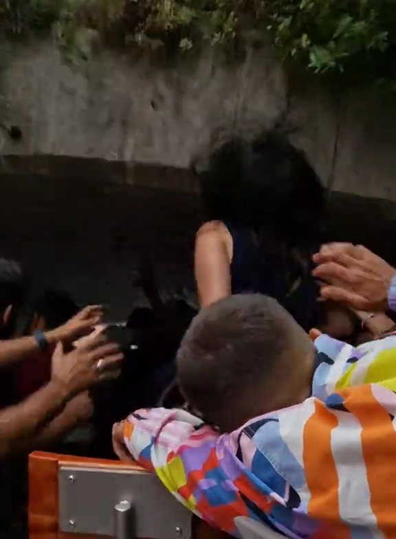 Woman injured on a boat ride.