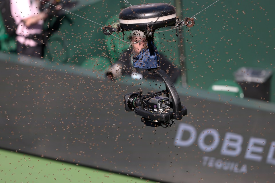 Bees swarm around a television camera during a tennis match.