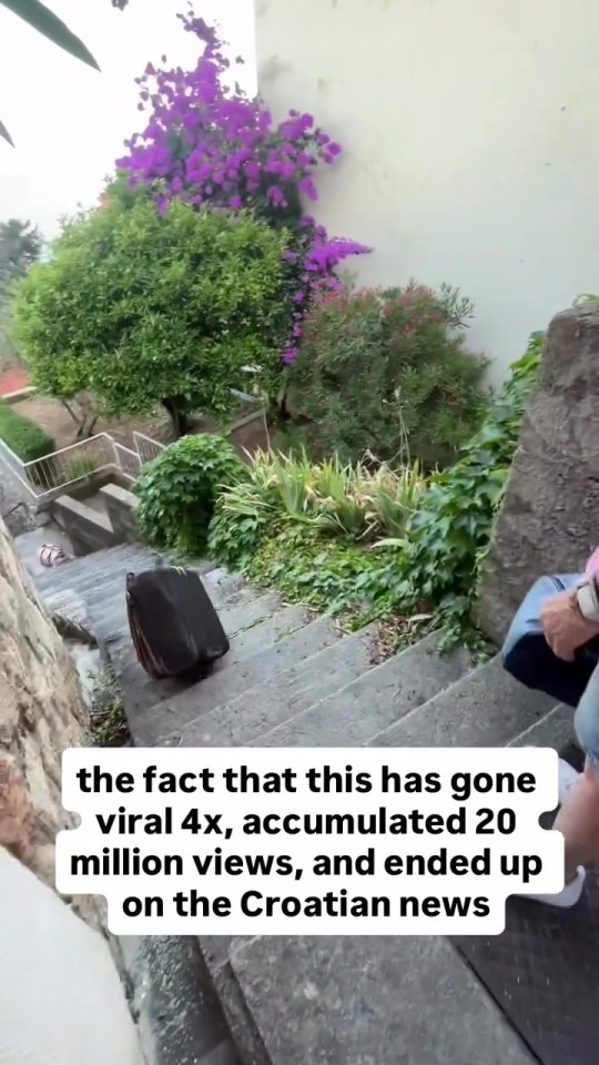 Suitcase thrown down stone steps.