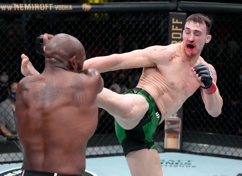Photo of a UFC light heavyweight fight; one fighter kicks the other.
