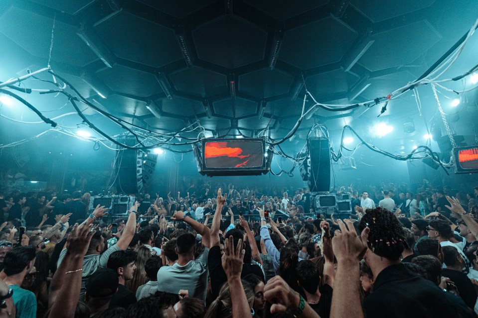 Crowd of people at a concert with hands in the air.