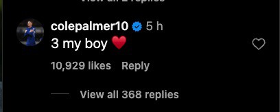 Screenshot of Instagram comment: "3 my boy ❤️" with 10,929 likes and 368 replies.