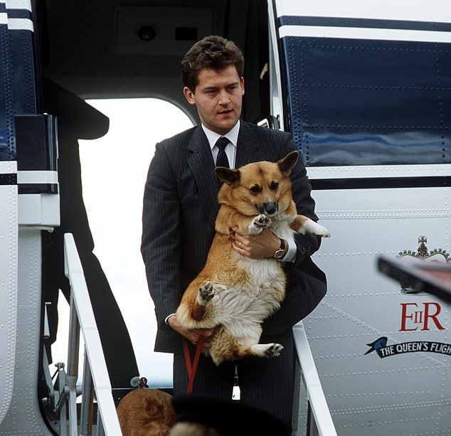 Paul carries one of the Queen's corgis off the Royal plane after the family returned from Balmoral one summer