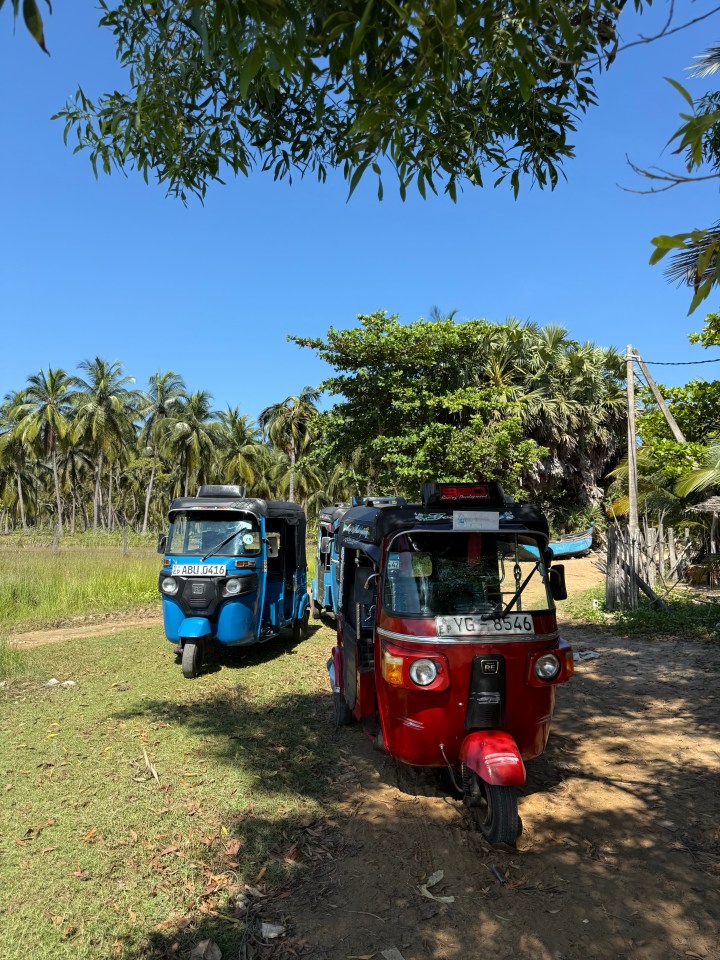 Two three-wheeled vehicles parked in a tropical setting.