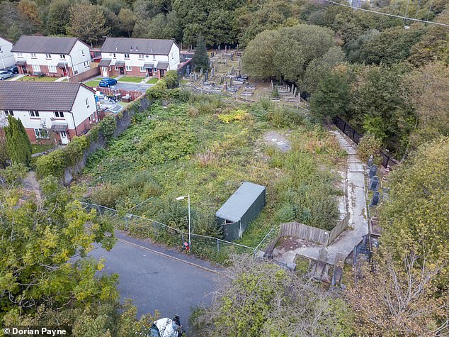 Knotweed pictured taking over a development site. It was sold in garden centres in the 19th century and has spread greatly over the course of the last two centuries