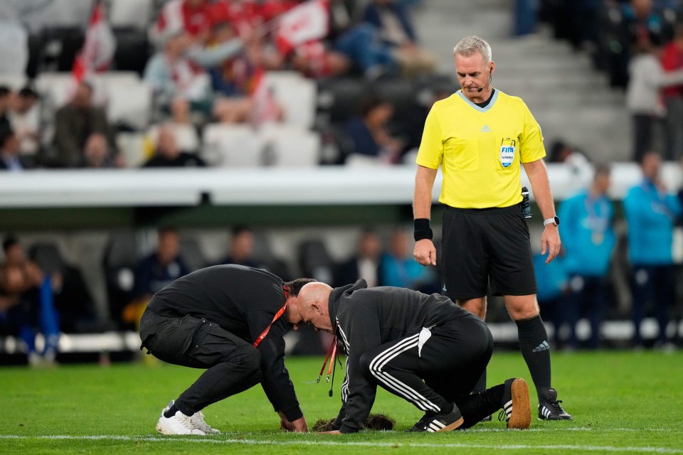 Referee watching field workers repair the field.