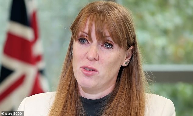 The Deputy Prime Minister’s resignation at the weekend has raised questions over the future of the controversial package