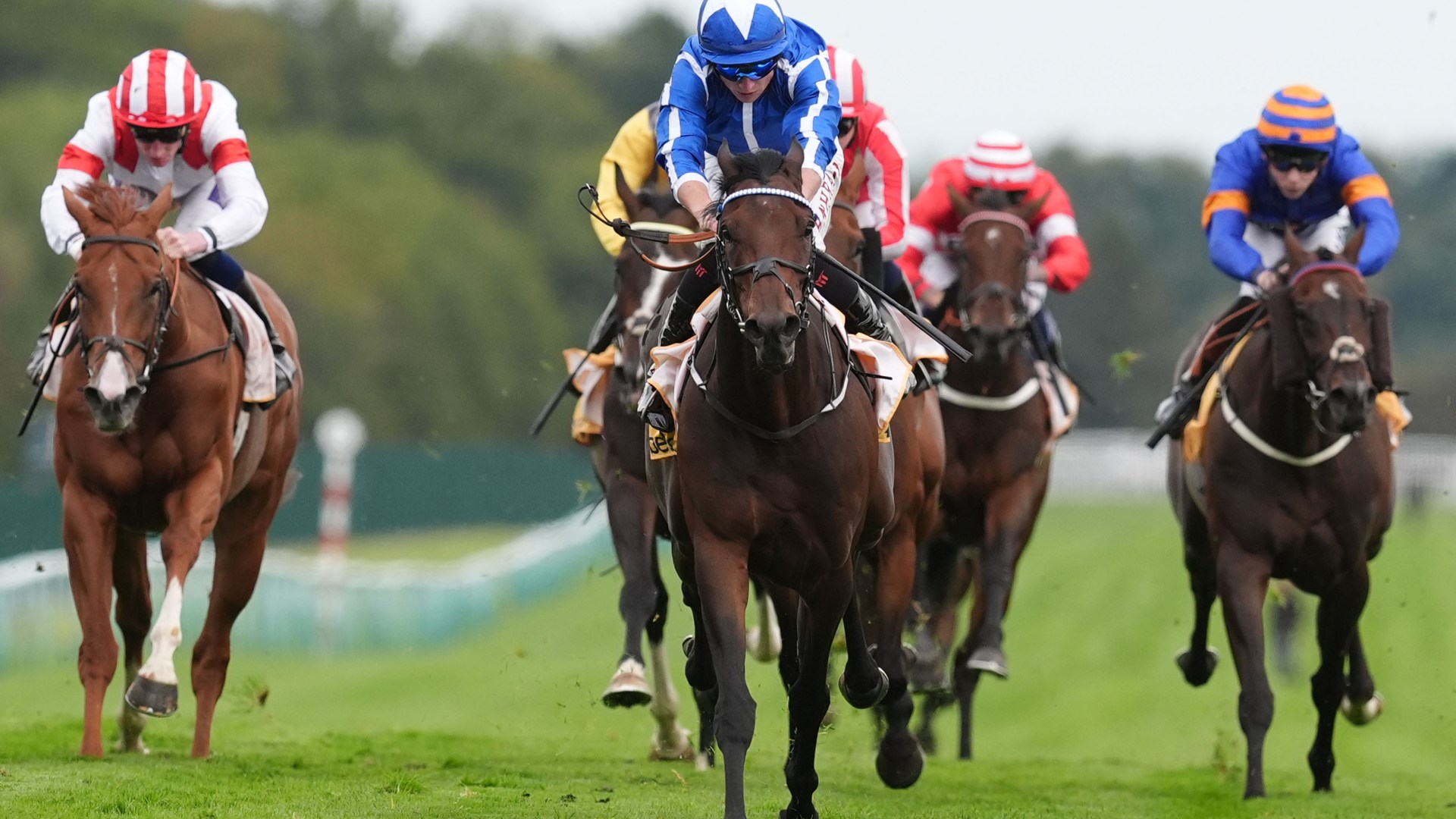 'Pure genius' racing punter turns 78p each way bet into thousands with perfectly timed bet