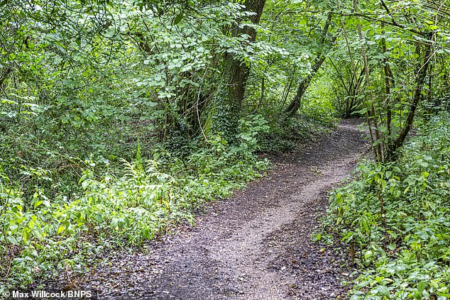 The route connecting Dorset village Corfe Mullen with Happy Bottom nature reserve has been used by local walkers for decades - but right of way is now being limited