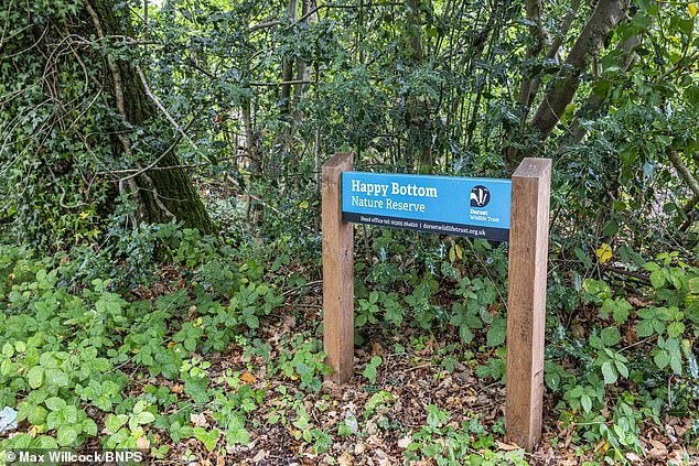 The route connecting the Dorset village Corfe Mullen with Happy Bottom nature reserve covers two different councils