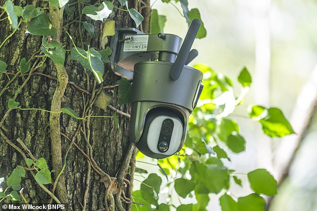 CCTV has been installed in the trees, with warnings on signs that security cameras are there