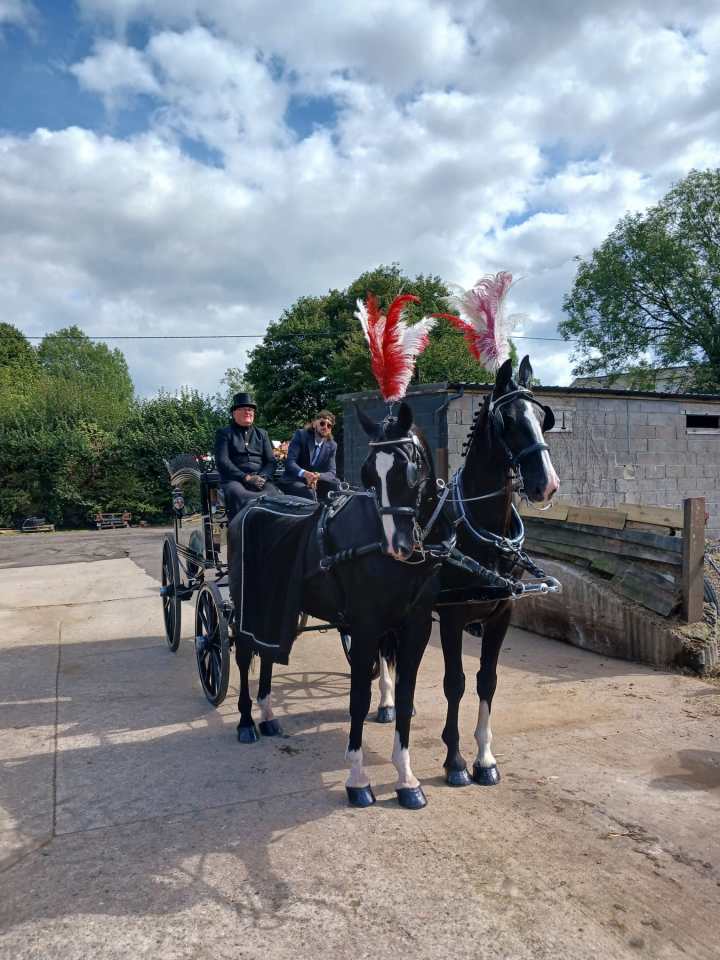 Two black horses pulling a horse-drawn hearse with two men in it.