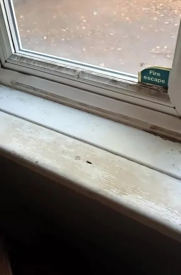 Dirty windowsill and frame.