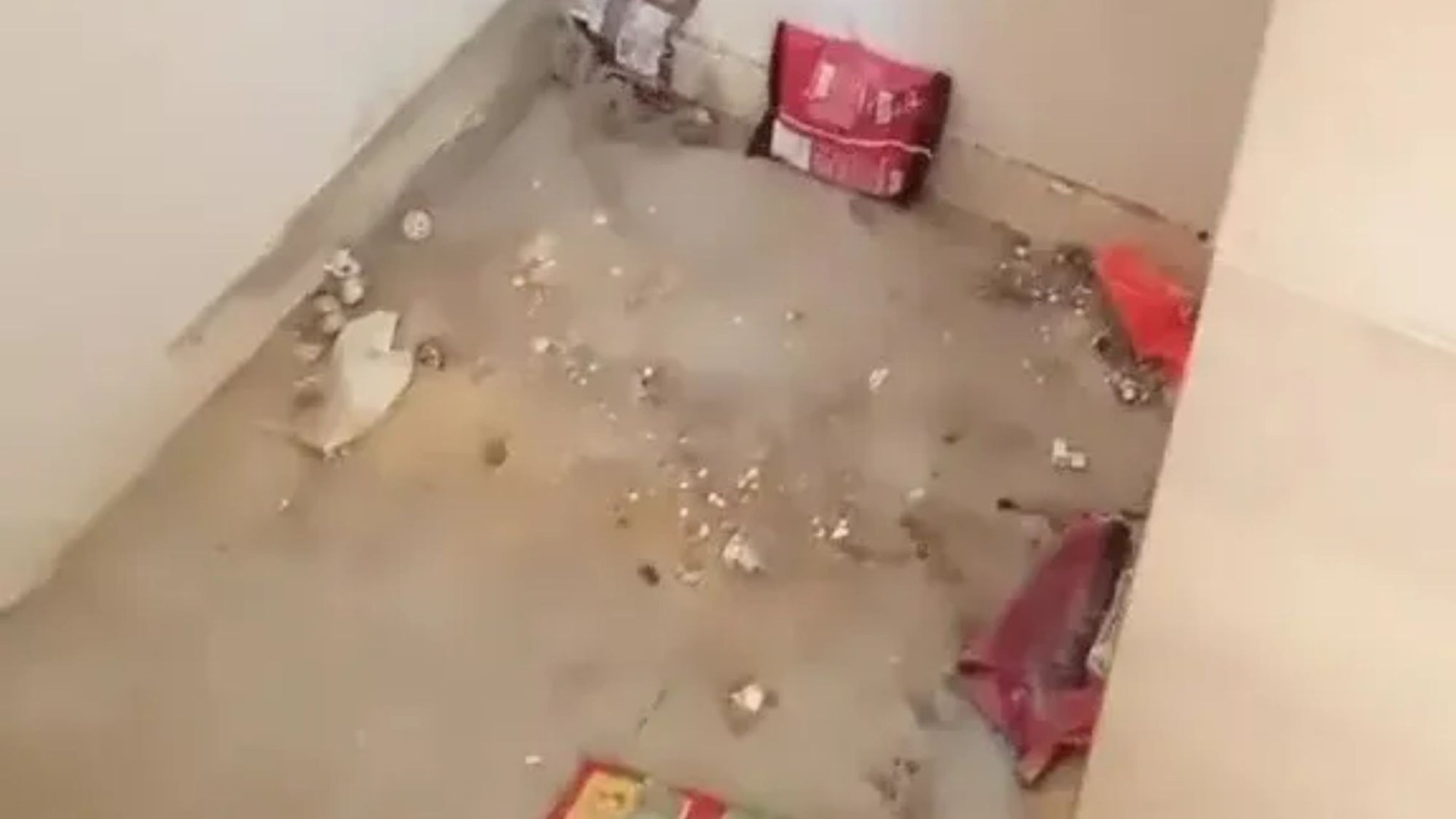 I did a council house swap & moved to the UK’s dirtiest flat - floors were soaked with urine and poo was stuck to walls