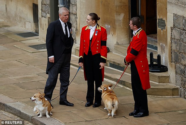 The Queen’s favourite son is probably feeling the loss of his mother more than most. Pictured: Prince Andrew with the royal corgis on the day of his mother’s funeral