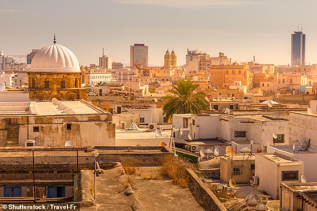 After landing in Tunis (pictured), further videos show the pair trying to explain to airport officials how they ended up in North Africa and not France