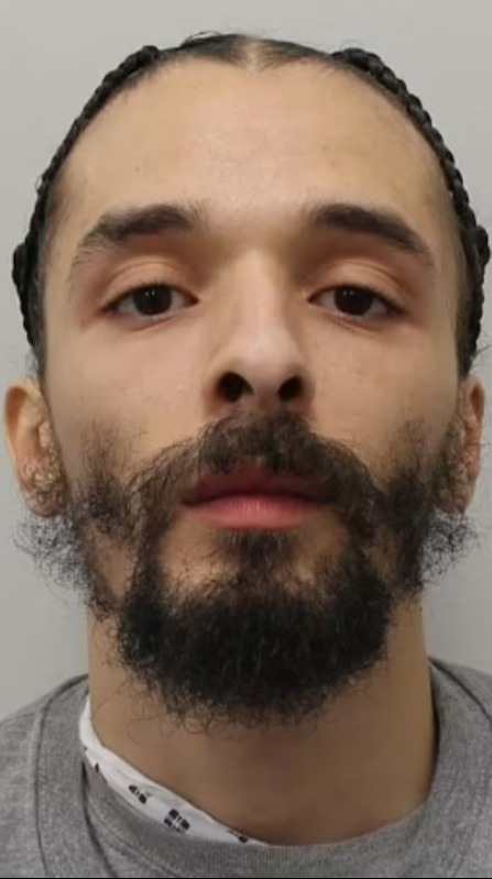 a man with a beard and braids is looking at the camera .