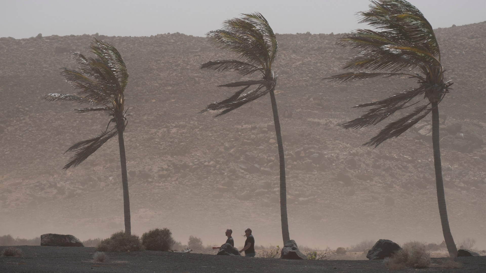 Spain battered by brutal weather with flash floods & 60mph winds - with warnings in place for Costa del Sol & Balearics