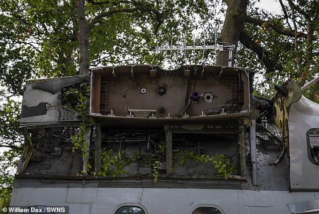The Airbnb owner says it appears to have 'captured people's imagination'