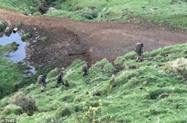 The most credible sighting was in bushland west of Marokopa in October 2024, when the Phillips family were spotted walking through farmland in single file by a pair of pig hunters, who filmed the encounter