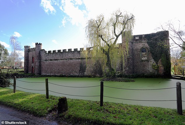 The Grade II-listed property, built in the 18th century, has six bedrooms, a swimming pool and 20 acres of land