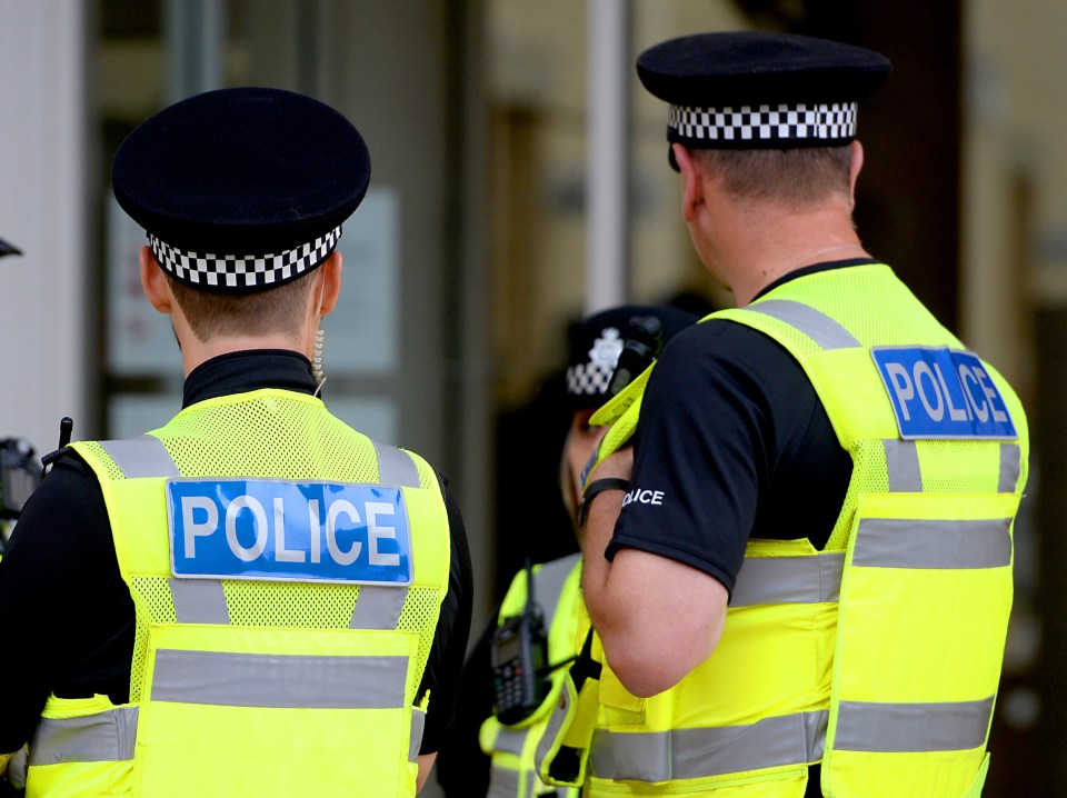 Photo of two police officers from behind.