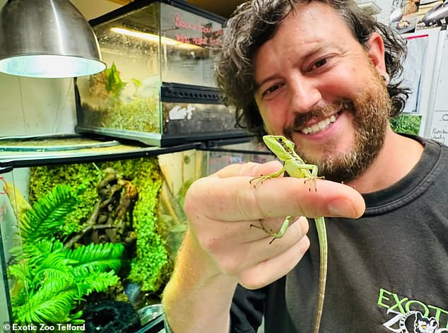 Scott Adams, owner of the Exotic Zoo in Telford, Shropshire (pictured with a baby), called it 'one of the rarest events in the animal kingdom'