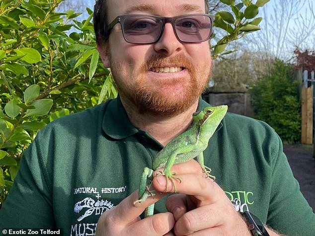 Ryan Jordan, head keeper at Exotic Zoo in Telford holds the mum, called Carol, who has never been with a male